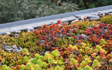 the cost of Lack green roof installation