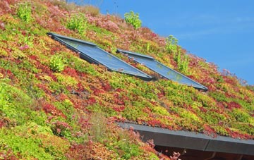 Lack living roof systems