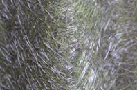 Lack fibreglass roof work